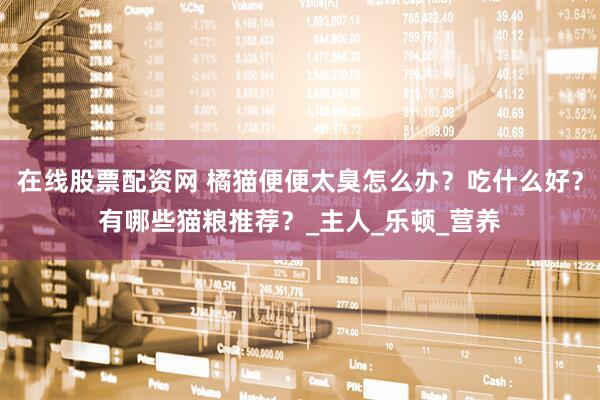 在线股票配资网 橘猫便便太臭怎么办？吃什么好？有哪些猫粮推荐？_主人_乐顿_营养