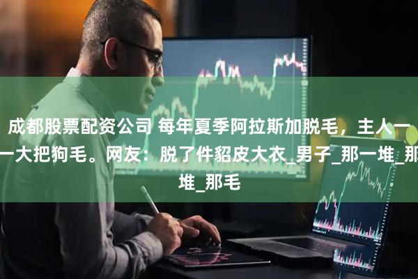成都股票配资公司 每年夏季阿拉斯加脱毛，主人一梳一大把狗毛。网友：脱了件貂皮大衣_男子_那一堆_那毛